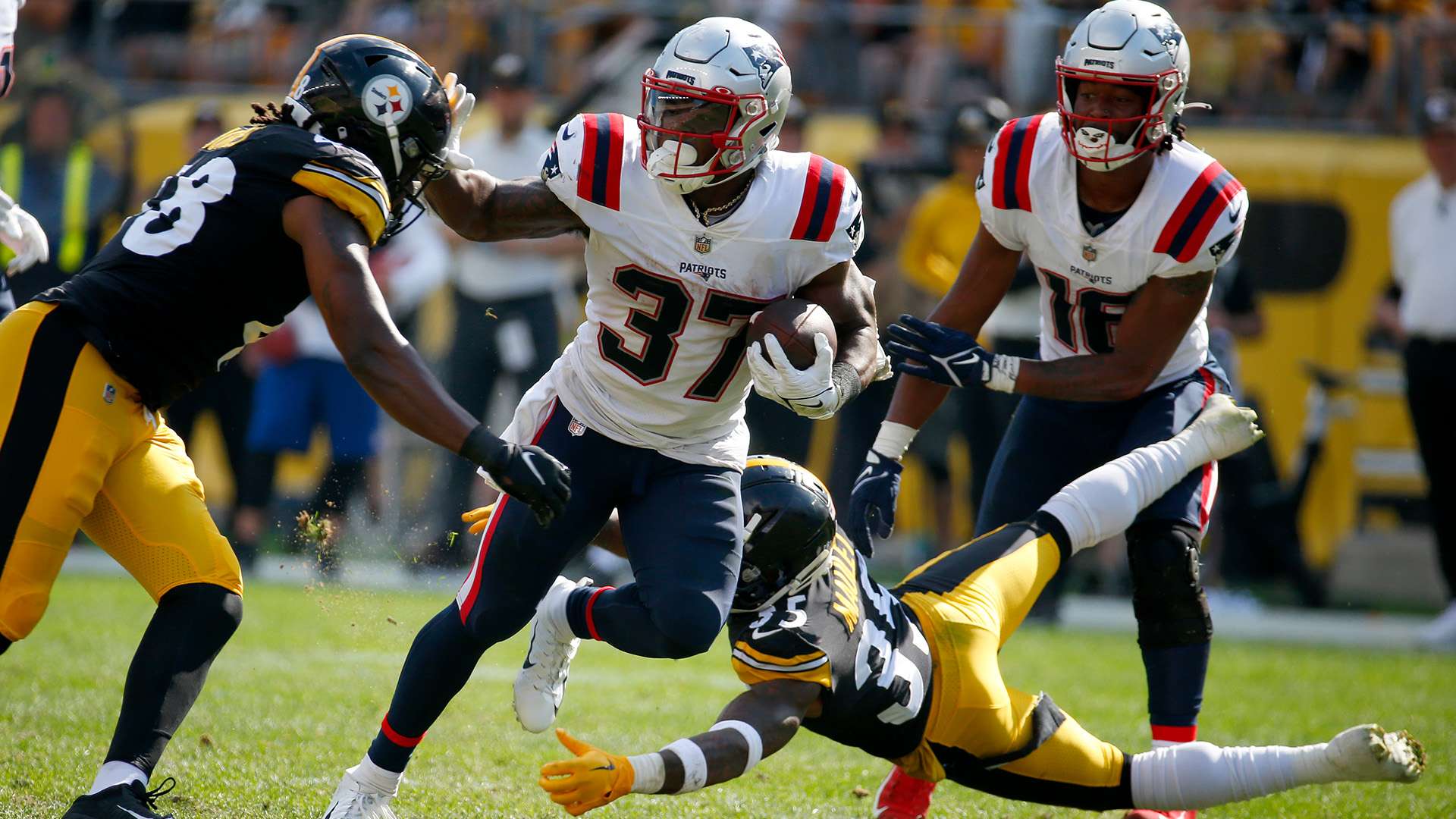 视为B组的 视为B组的