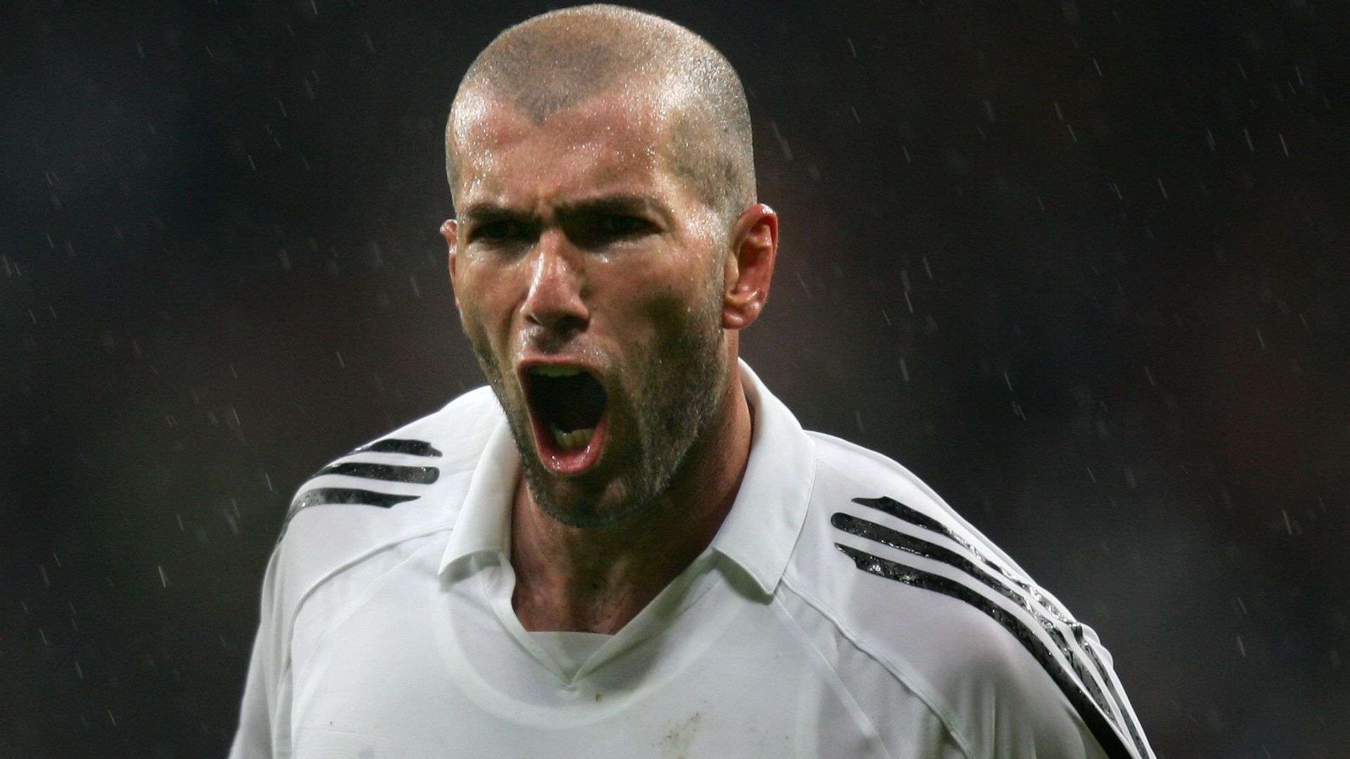 的到来都将 的到来都将